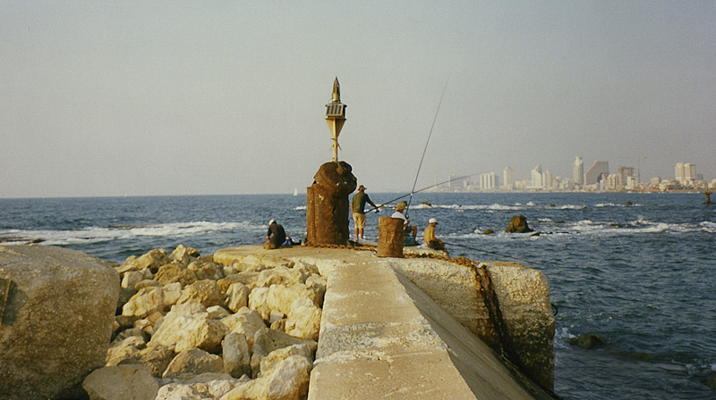    1998