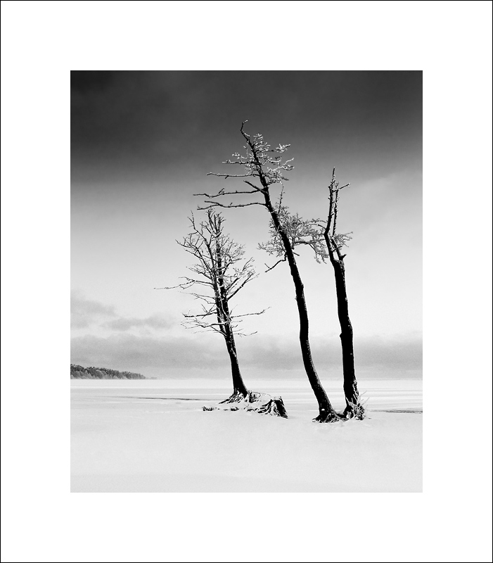  Winterscape