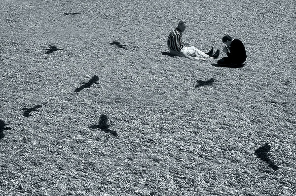  flying shadows