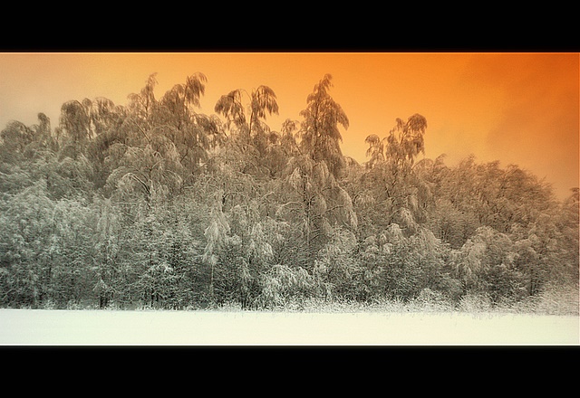  Orange Sky