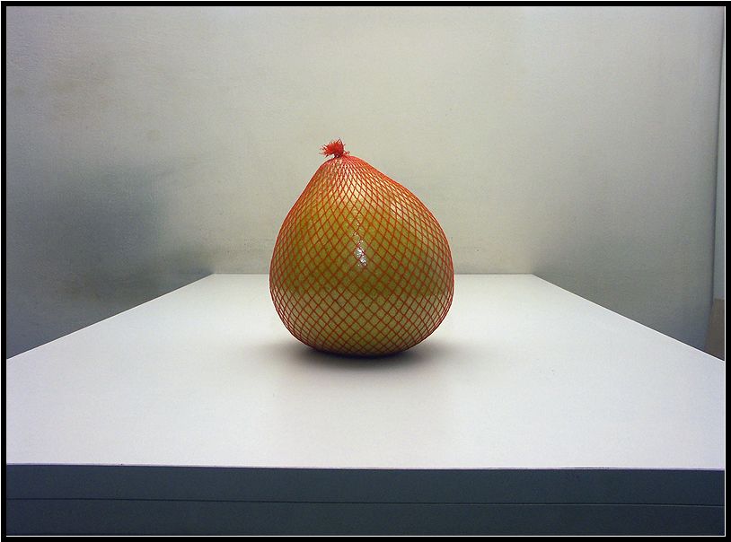 . . 2006.
