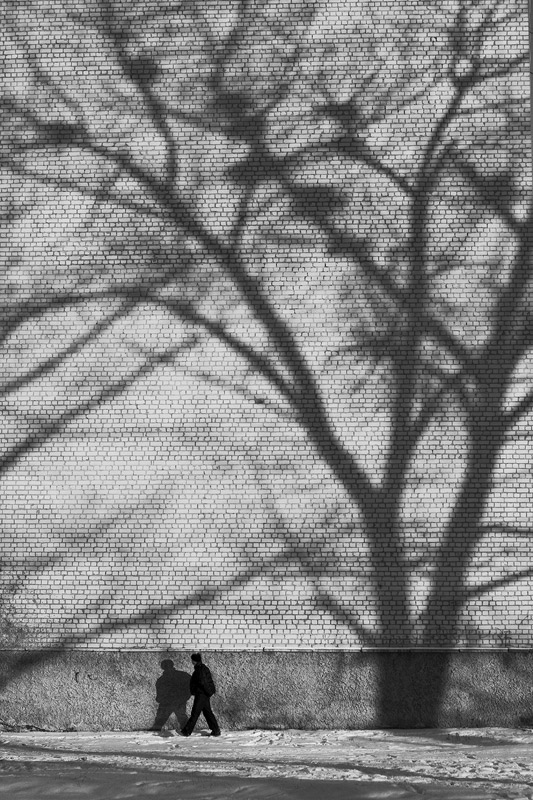  talking with a shadow