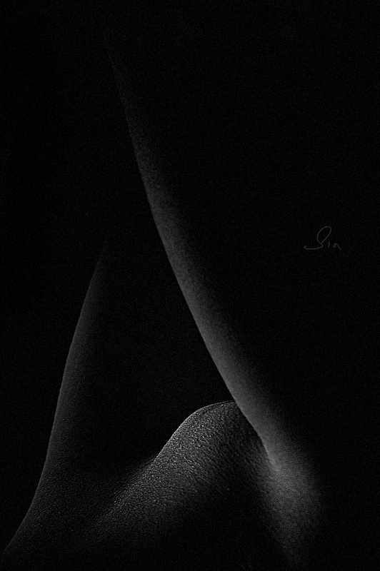  Lines