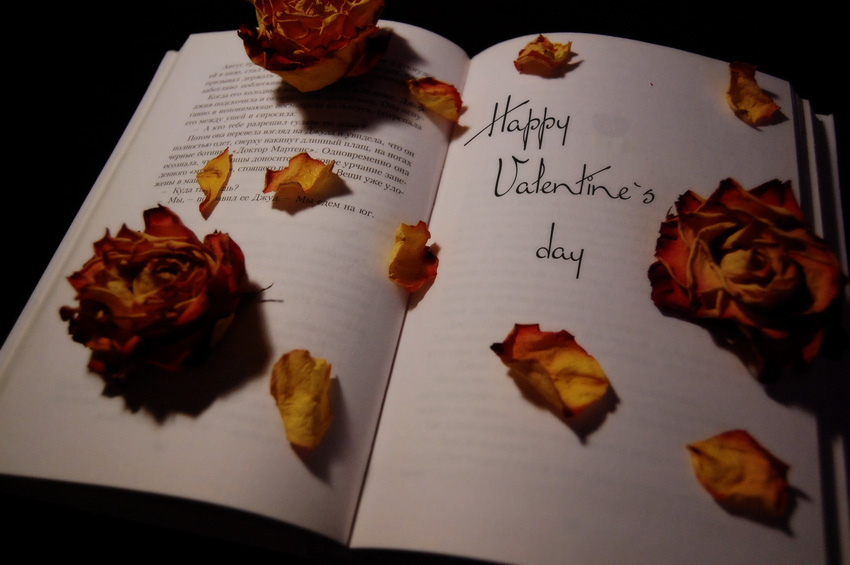  Happy Valentine`s day