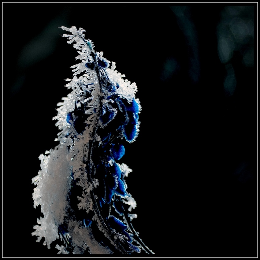  Winter time....