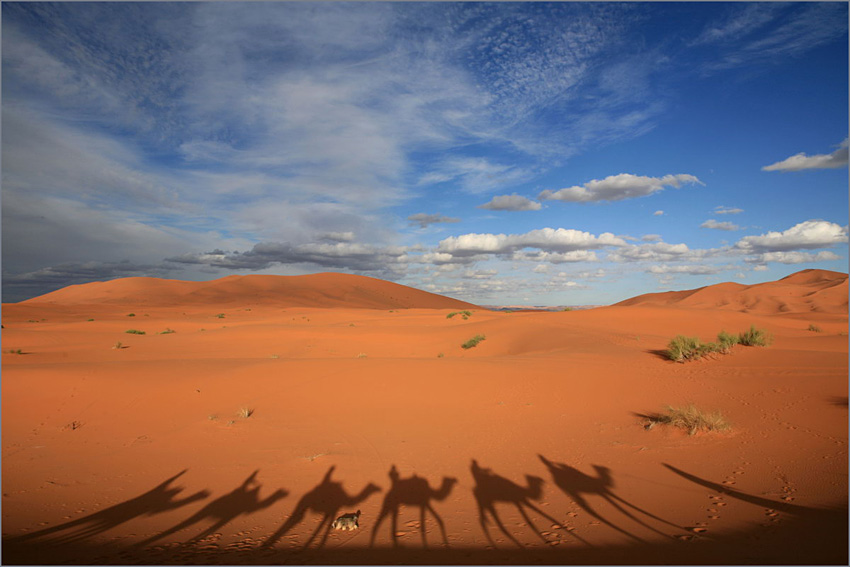  Caravan