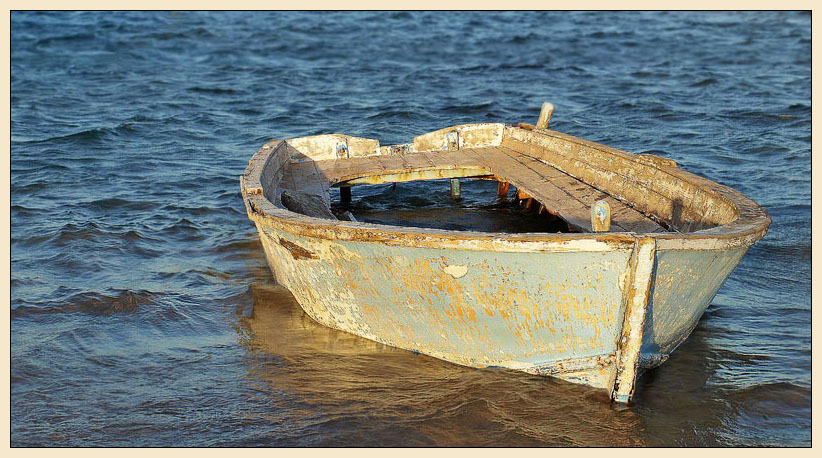  the boat