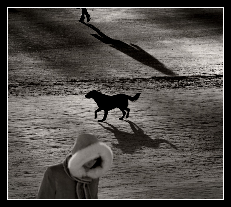  blackdog