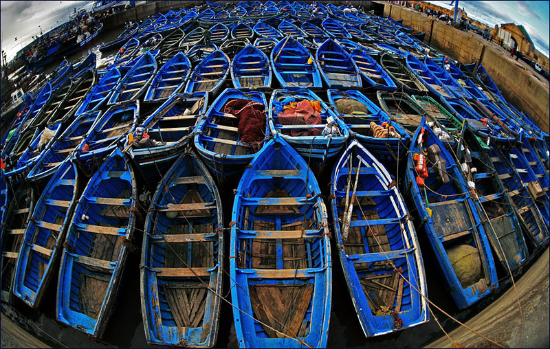  Boats