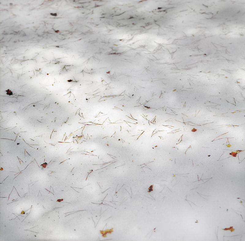  melting snow 