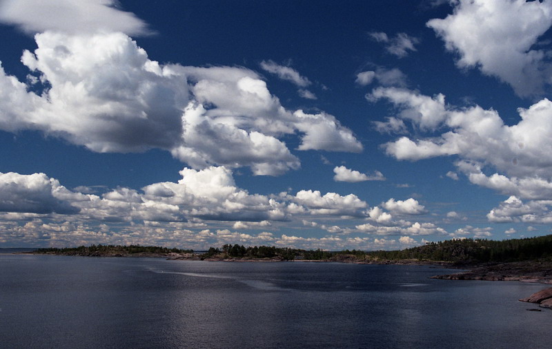   2007.