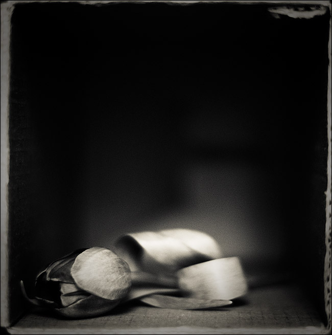  solitude