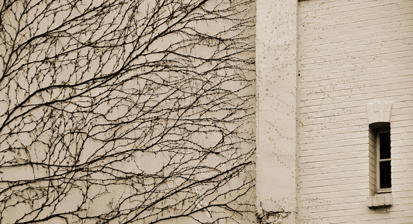  Montmartre #1