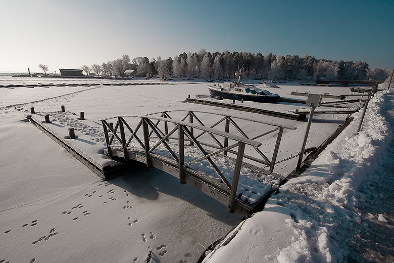  Kotka 1
