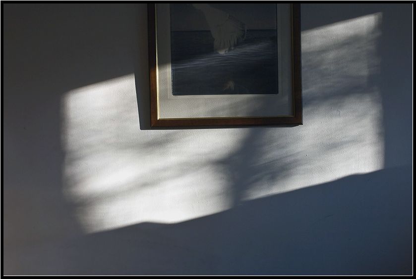   . . 2009.