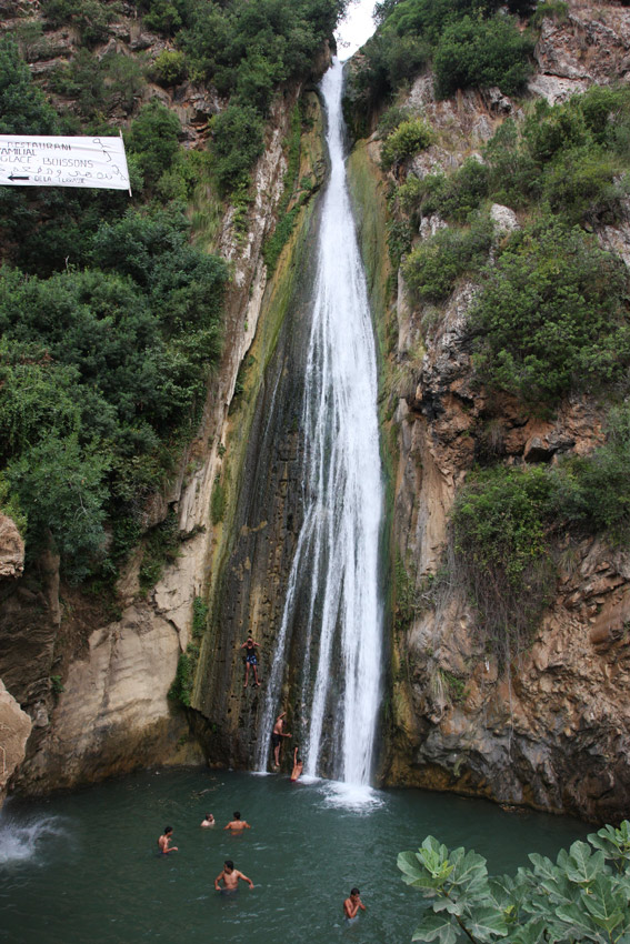  (Algeria)