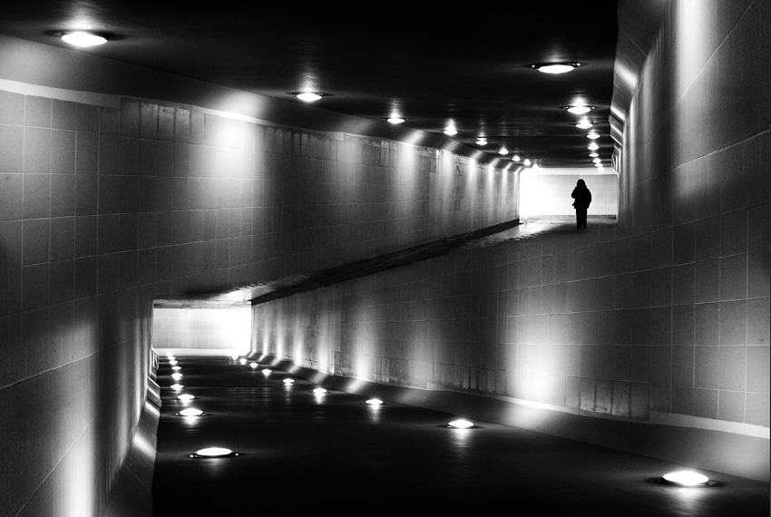  the parallel world