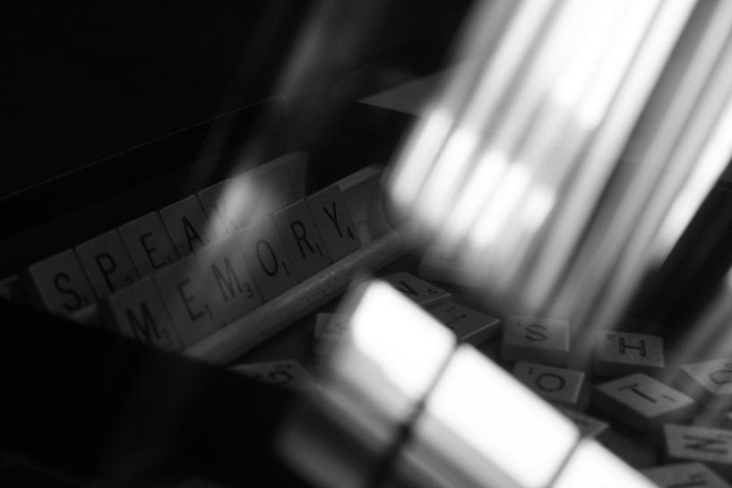  speak memory