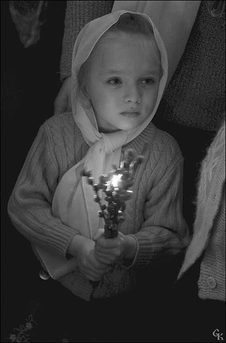  -2009. 2.