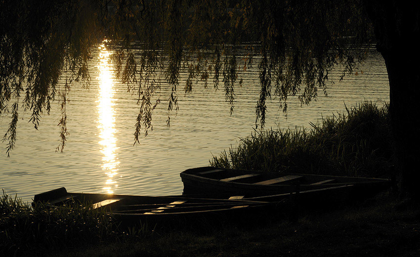  evening II