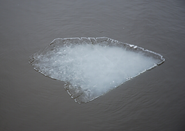  Ice-Island