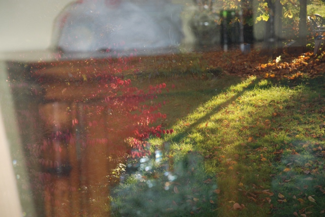  Secret Garden