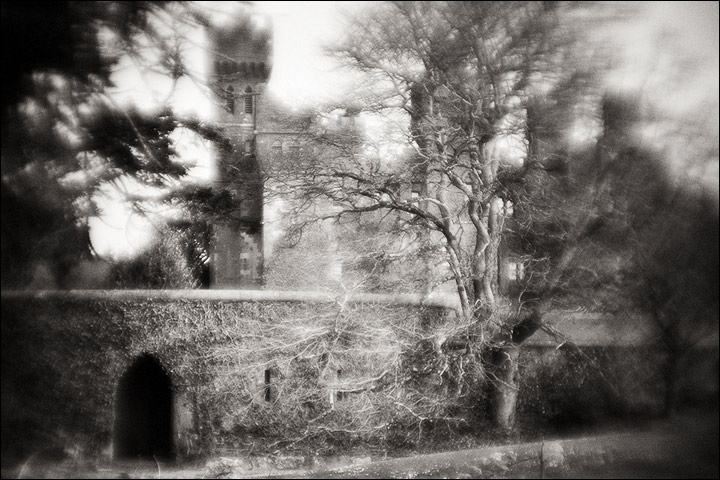  ashford