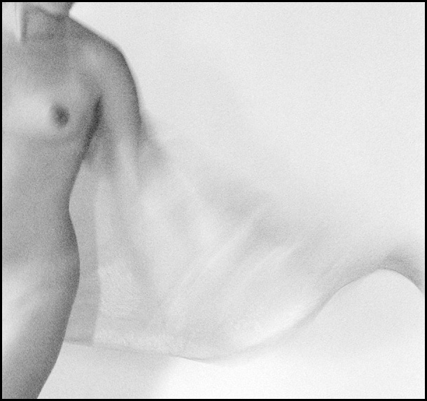 A Wing (1)