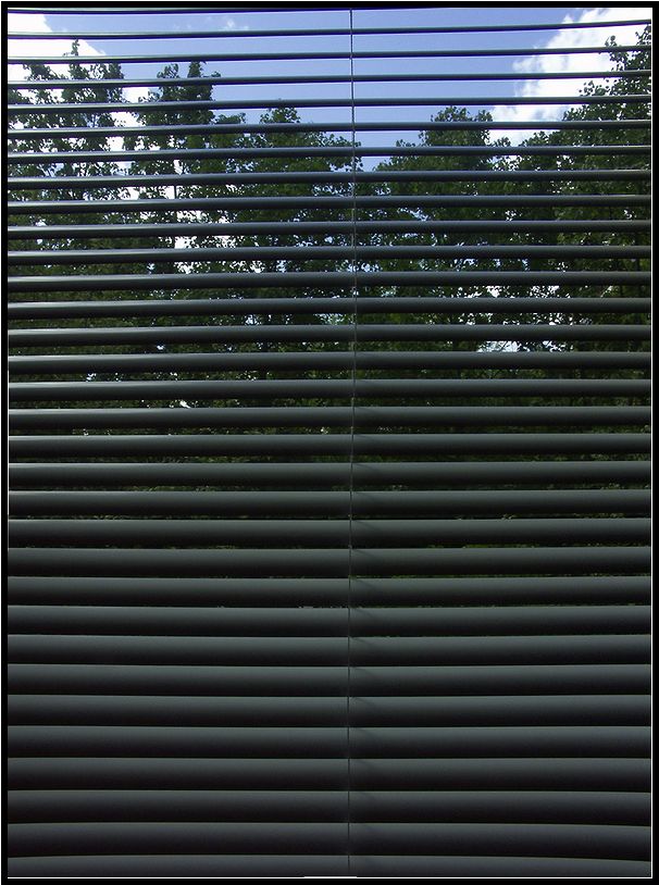  . . 2004.