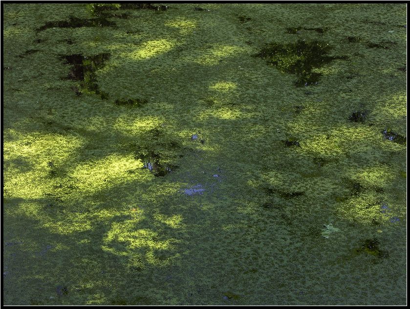     . . 2004.
