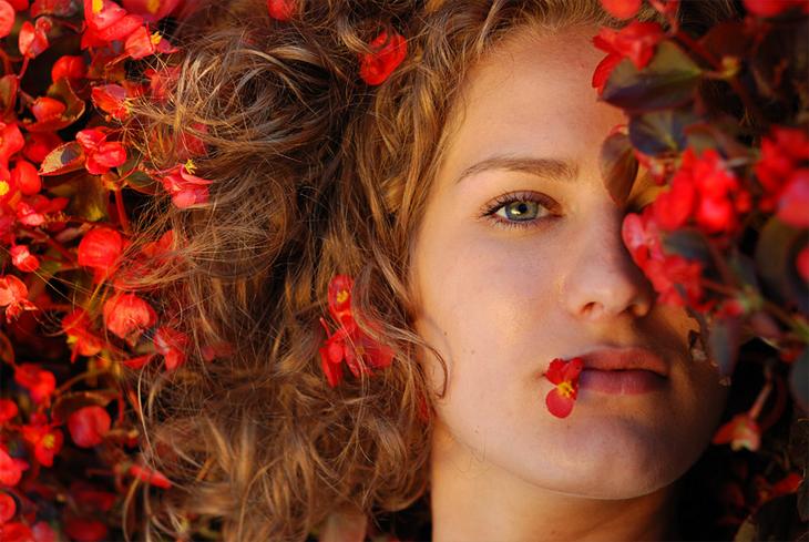  Where wild roses grow