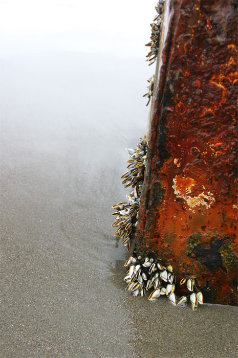  Cold summer at the seashore Op.2