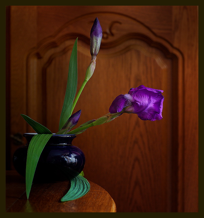  Iris No.9