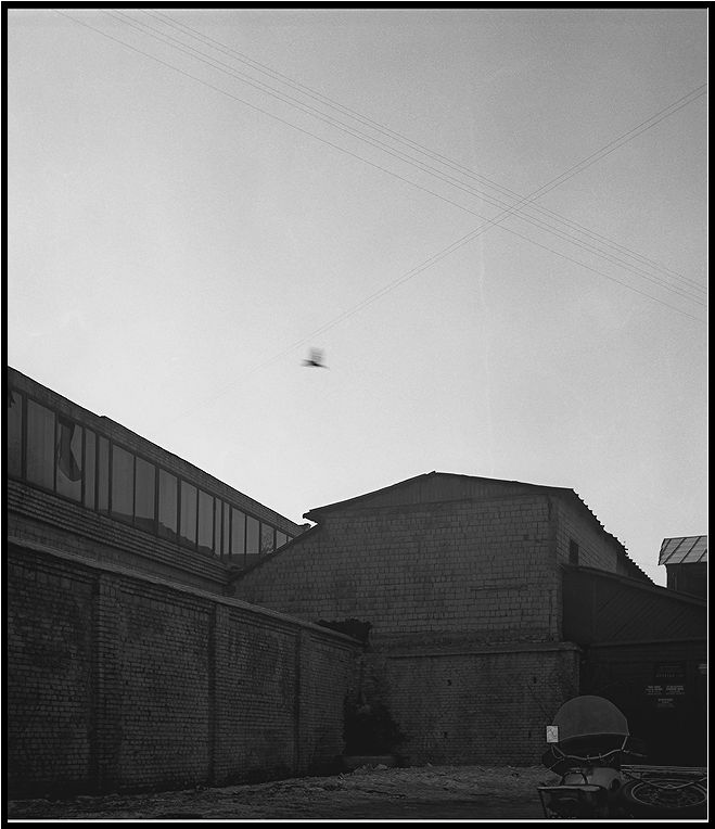  . . 1976.
