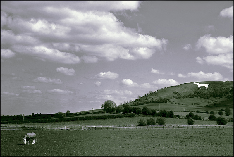       Wiltshir