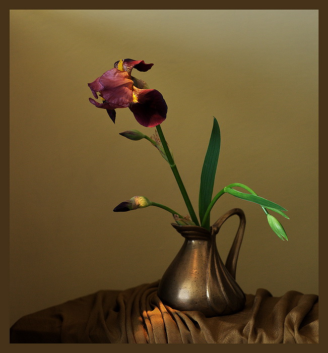  Iris No.10