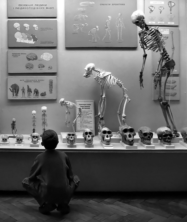  Re.Evolution