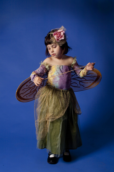  fairy