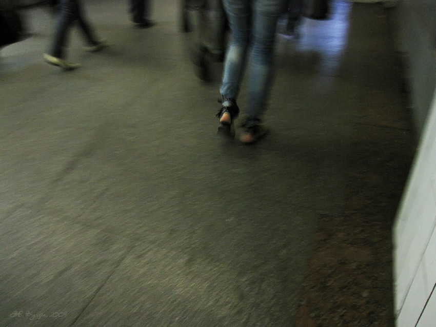  ...  IMG 5688