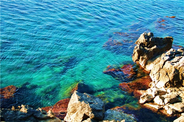  in Cefalu