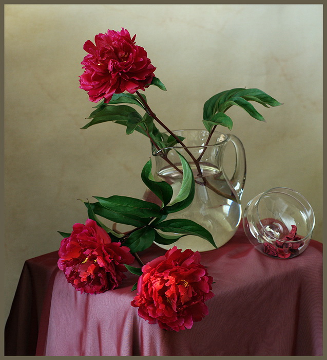  Paeonia No.1