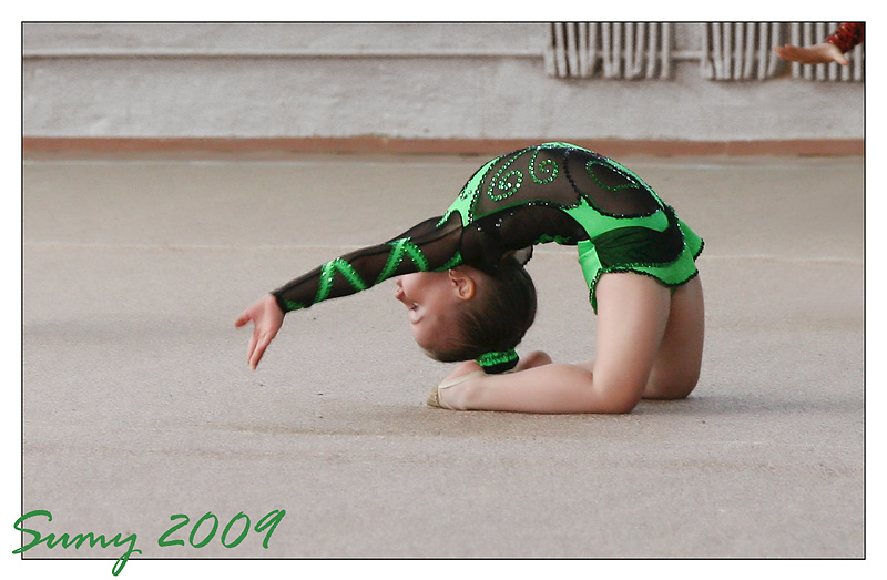   .. 2006  