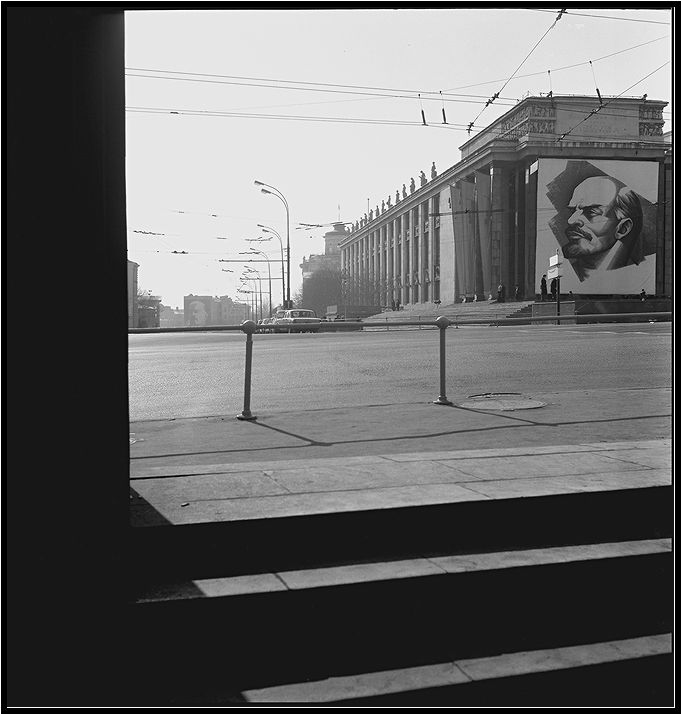   . . 1981.