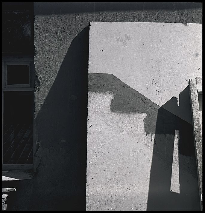   . . 1981.