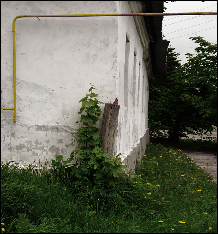  ,  (2009).