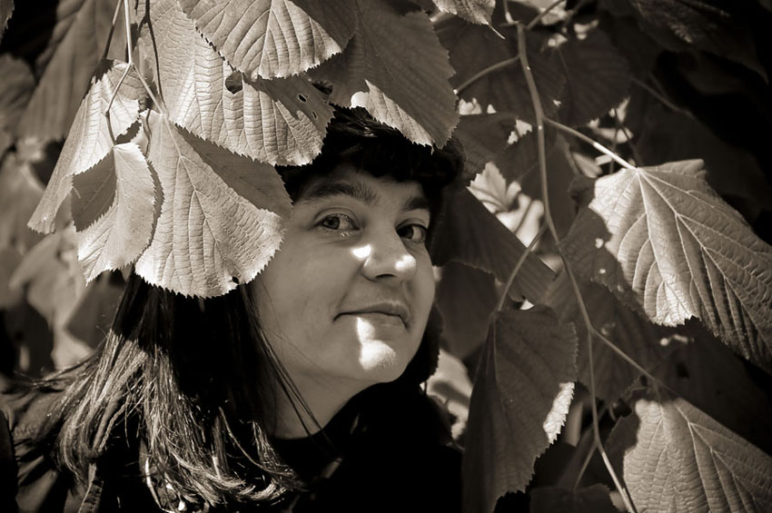  In leaves