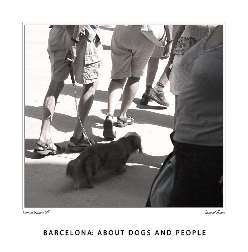  BARCELONA: ABOUT DOGS AND PEOPLE