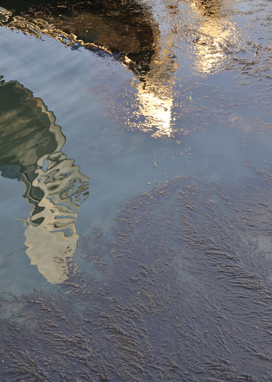  Venezia #2