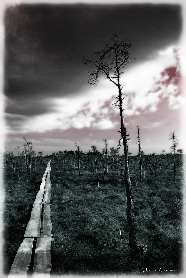  a way to Eternity