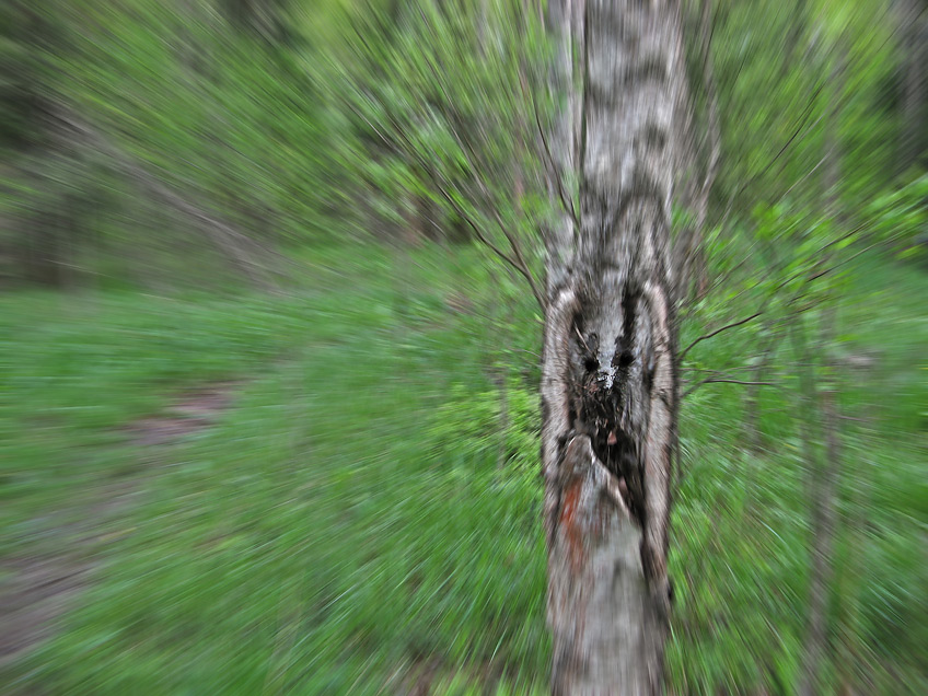   ,   